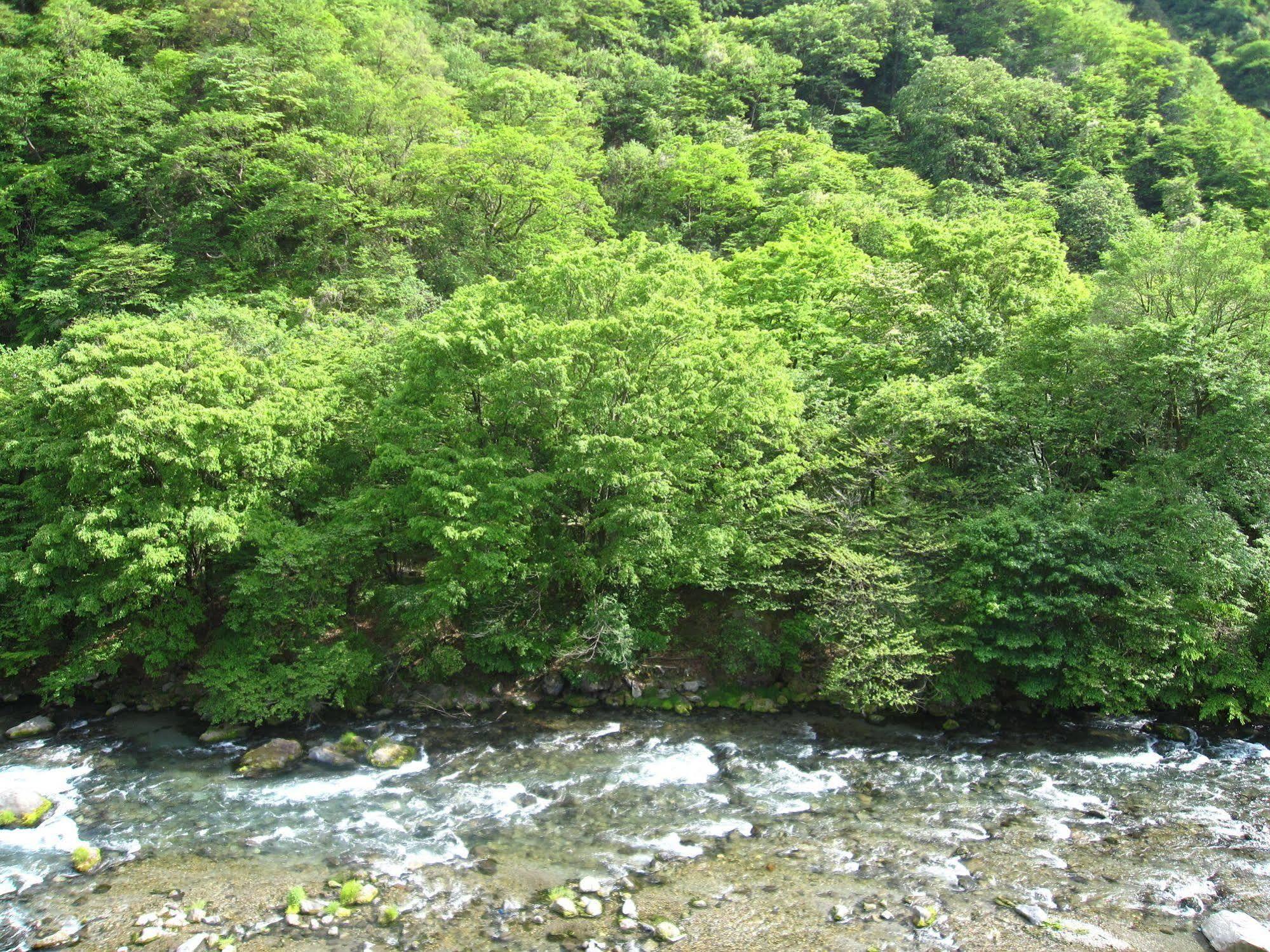 Koduchi No Yado Tsurukamedaikichi Hotel Нико Екстериор снимка